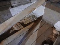 20251130_140459 (1024x768).jpg